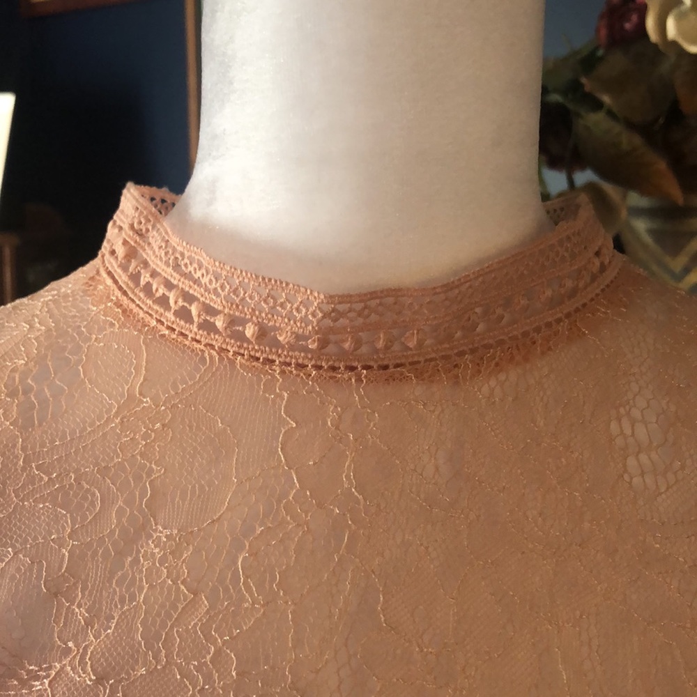 Express Peach Lace Midi Dress - Picture 5 of 15